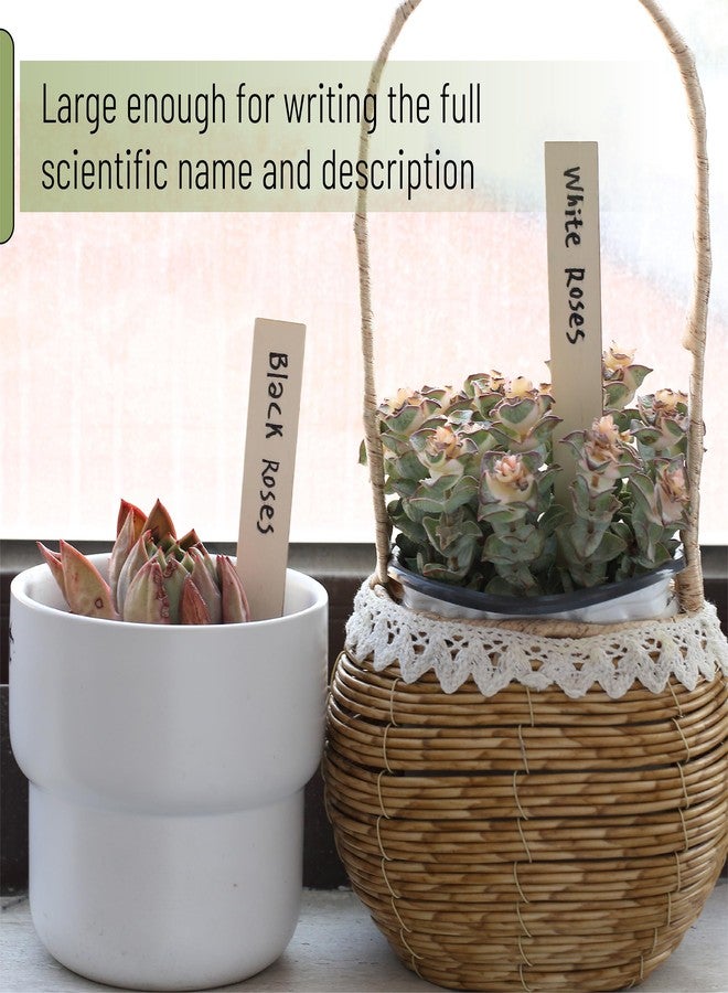 Mr. Pen - Wood Plant Labels with Marker, 100 Pcs, 6" Wooden Plant Markers - Image 4